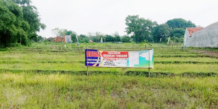Lahan Mati di Desa Susukantonggoh di Kembangkan Kawasan Pemukiman