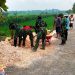 Pengaspalan Jalan Usaha Tani di Desa Ngrancang Bojonegoro 75 Persen