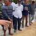 Bulog Siap Terima Gabah Petani seharga Standar