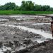 Normalisasi Sungai TMMD Reguler Bojonegoro Jawab Masalah Petani Dua Desa di Tambakrejo