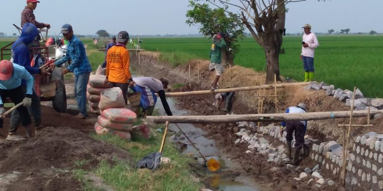 Pemdes Bulak Tingkatkan Jaringan Irigasi
