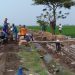 Pemdes Bulak Tingkatkan Jaringan Irigasi