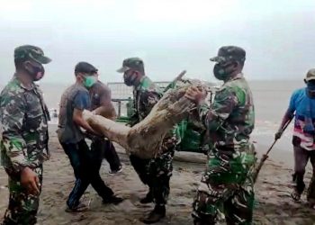 Aksi Bersih-bersih Sampah Lagi di OW Pantai Randusanga Indah Brebes