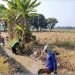 Pemdes Margamulya Ajak Masyarakat Kerja Bhakti