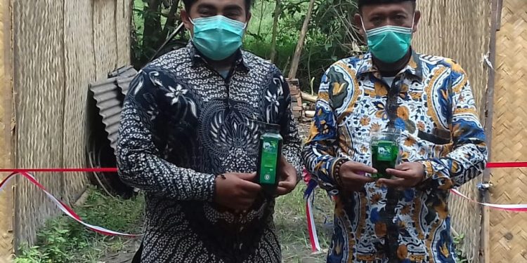 BUDIDAYA JAMUR MERANG DAN SABUN CUCI PIRING MIMI CLEAN