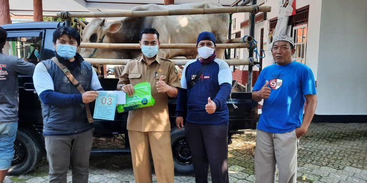 Pertamina RU VI Salurkan 108 Hewan Kurban Kepada masyarakat Indramayu