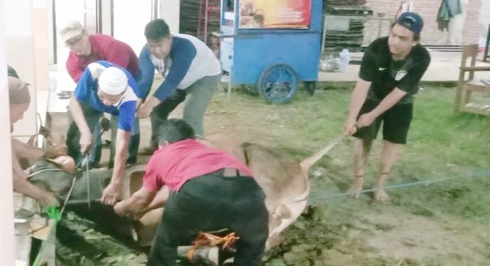 Peringati Idul Adha, SMK Muhammadiyah Lemahabang Berkurban Sapi Dan 20 Ekor Kambing