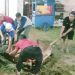 Peringati Idul Adha, SMK Muhammadiyah Lemahabang Berkurban Sapi Dan 20 Ekor Kambing