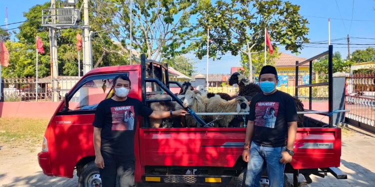 PDI Perjuangan Kabupaten Indramayu Siapkan Ribuan Paket Daging Qurban