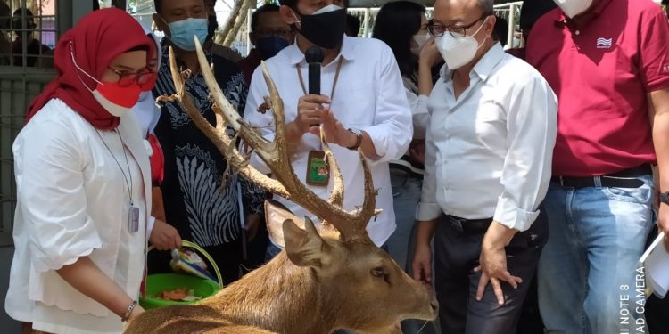 Polytama Luncurkan Peresmian Penangkaran Rusa Timorensis di Hari Kemerdekaan RI