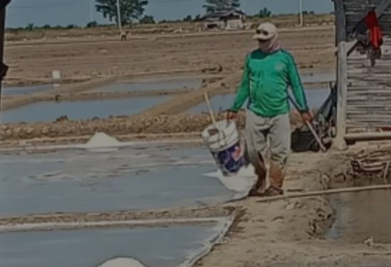 Hujan Turun, Petani Garam di Indramayu Siap-Siap Ganti Haluan