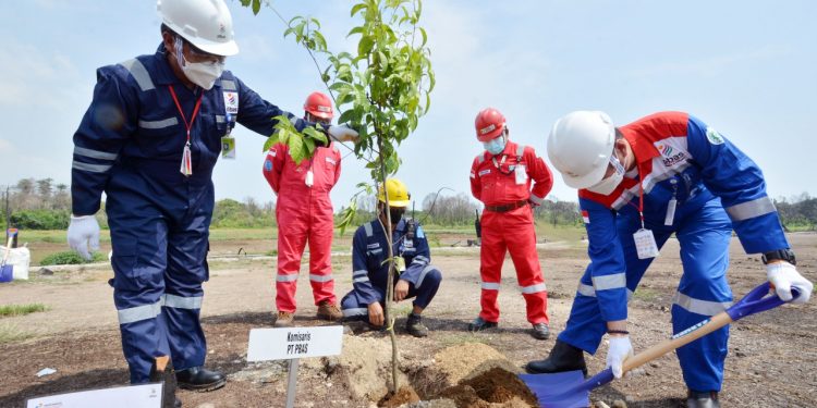Dukung Go Green Pertamina. Kilang Balongan Ditanami 1.000 Bibit Pohon