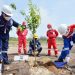 Dukung Go Green Pertamina. Kilang Balongan Ditanami 1.000 Bibit Pohon