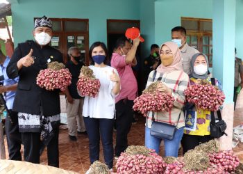 Komisi IV DPR RI Heran Anjlognya Harga Bawang Brebes
