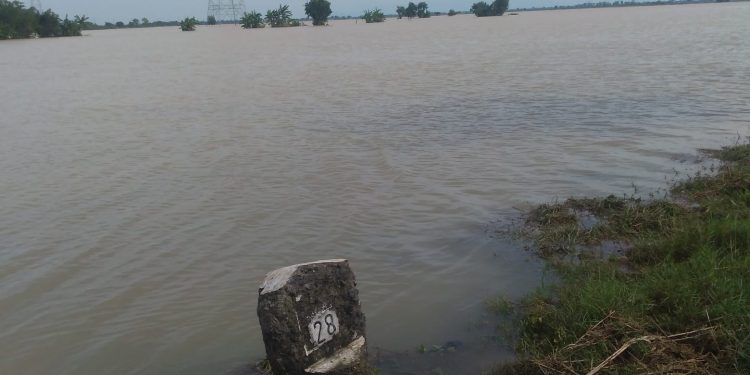 Sungai Congger Terisi Meluap Ribuan Hektar Sawah di Dua Kecamatan Terendam