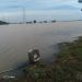 Sungai Congger Terisi Meluap Ribuan Hektar Sawah di Dua Kecamatan Terendam