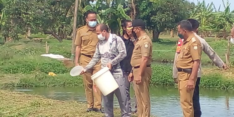 Budidaya Lele “BBS Sukses” Manfaatkan Limbah Tulang