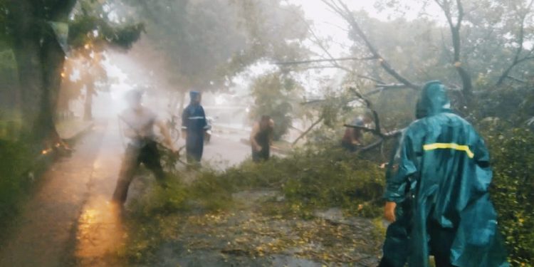 Pohon Besar Tumbang, Hujan Angin Mengguyur Kawasan Susukanlebak