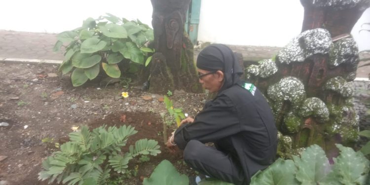 Peringati Hari Gerakan Sejuta Pohon, Kaula Kawali Ciebon Raya Tanam 1000 Pohon