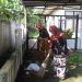 Usai Lebaran 2022, Kantor Pelayanan Publik Tetap Laksanakan Kegiatan Jumat Bersih Sesuai Himbauan Bupati Cirebon
