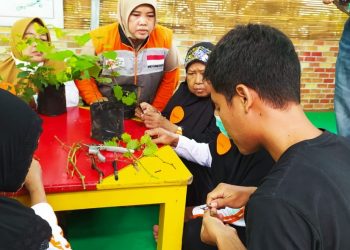 Para Lansia di Indramayu Mengikuti Pelatihan Grafting Anggur