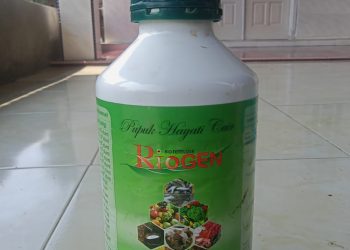 Diduga Bantuan Pupuk Organik Dijual Oleh Oknum Perangkat Desa Sende