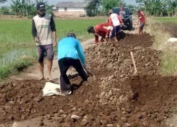 Tingkatkan Produktivitas Pertanian, JUT di Kedungwungu Indramayu Ditingkatkan