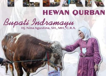 Bupati Indramayu Kurban di Desa Krimun Kecamatan Losarang 