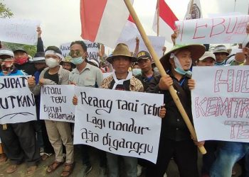 Bupati Indramayu Temui Petani Tebu, Dukung Program Kemitraan