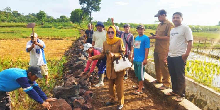 Buka Akses Jalan Usaha Tani Dan TPT, Desa Pasawahan Yang Pertama Gelar Pembangunan Desa di Susukanlebak