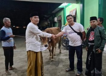 Bupati Indramayu Serahkan Hewan Kurban ke PCNU