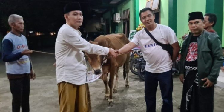 Bupati Indramayu Serahkan Hewan Kurban ke PCNU
