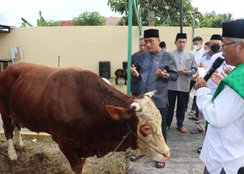 Polresta Cirebon Distribusikan Puluhan Hewan Kurban ke Sejumlah Pondok Pesantren
