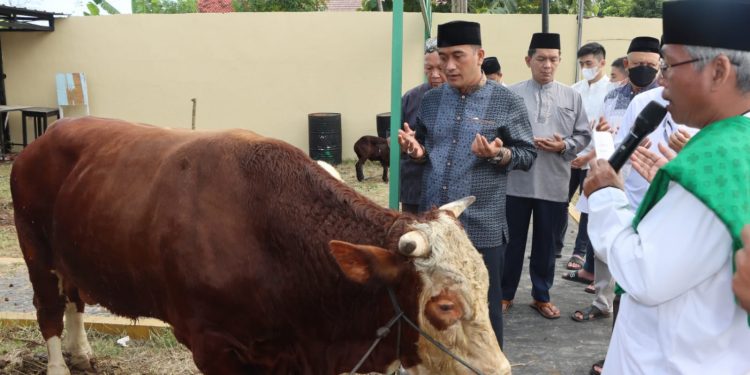 Polresta Cirebon Distribusikan Puluhan Hewan Kurban ke Sejumlah Pondok Pesantren