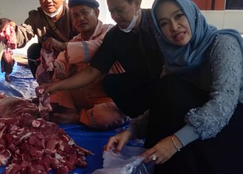 Wakil Bupati Cirebon Bagikan Hewan Kurban Ke Masyarakat Dan Pondok Pesantren 