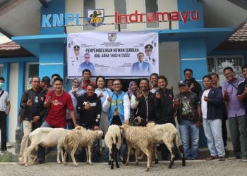 Idul Adha 1443 H, KNPI Indramayu Potong 6 Ekor Kambing