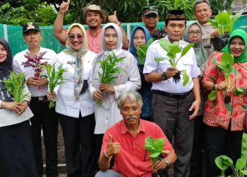Lahan Sempit Masih Bisa Bercocok Tanam, Ini Caranya 