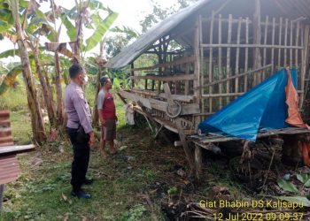 Sosialiasi PKM, Bhabin Desa Kalisapu Polsek Gunungjati Ciko Sambangi Peternak Hewan
