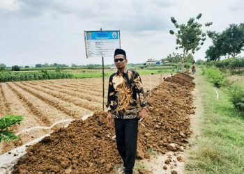 Dukung Program Ketahanan Pangan, PemDes Serang Kulon Bangun JUT Dan TPT