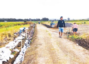 Realisasikan Ketahanan Pangan, Pemdes Kaligawe Wetan Bangun JUT