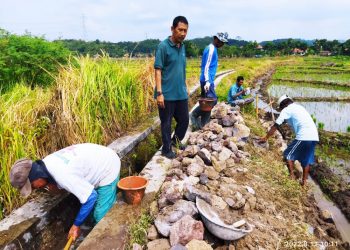 Bangun JUT dan TPT, Desa Karangmangu Kucurkan DD Tahap Dua