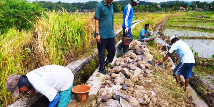 Bangun JUT dan TPT, Desa Karangmangu Kucurkan DD Tahap Dua