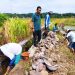 Bangun JUT dan TPT, Desa Karangmangu Kucurkan DD Tahap Dua