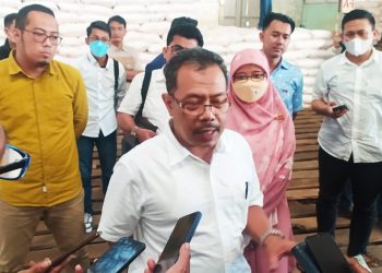 Pupuk Indonesia: Sekarang Hanya ada Dua Jenis Pupuk yang Disubsidi