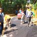 Jalan Rusak, Pemdes Ciawiasih Realisasikan Hotmix Jalan Blok Birday