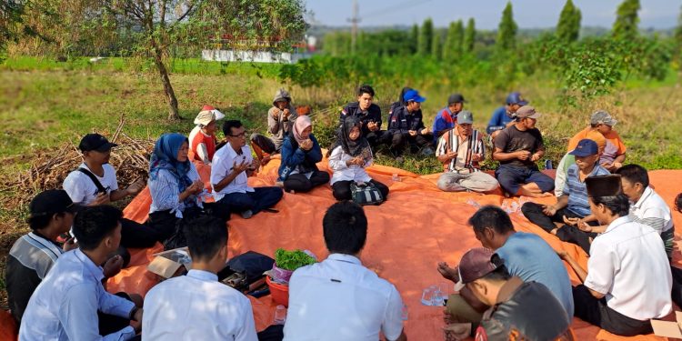 Dukung Program Ketahanan Pangan, Pemdes Ciawijapura Bangun Balai Pertemuan Petani