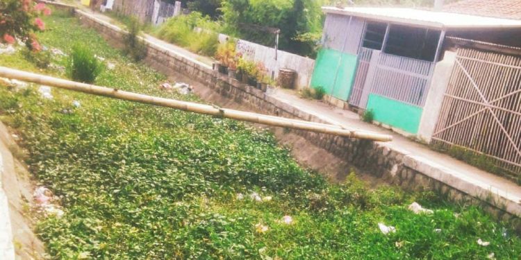 Masyarakat Desa Losari Kidul Tuntut PT. WIKA Segera Keruk Dan Normalisasi Irigasi