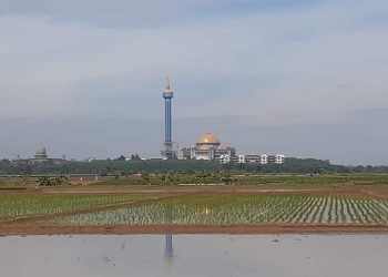 Kelompok Tani Dan Petani Lain Berharap Ke Pemerintah Agar ada Tambahan Sumur Bor