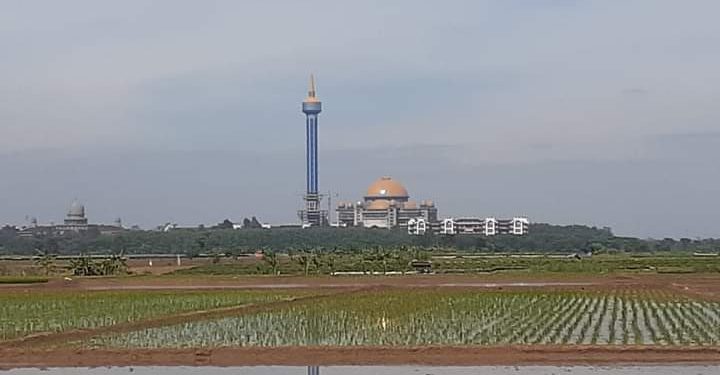 Kelompok Tani Dan Petani Lain Berharap Ke Pemerintah Agar ada Tambahan Sumur Bor