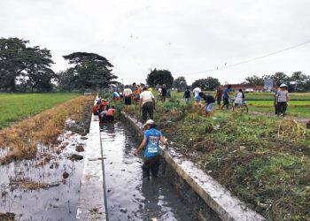 Pemdes Barisan Gelar Program Padat Karya Tunai Disnakertrans Kabupaten Cirebon